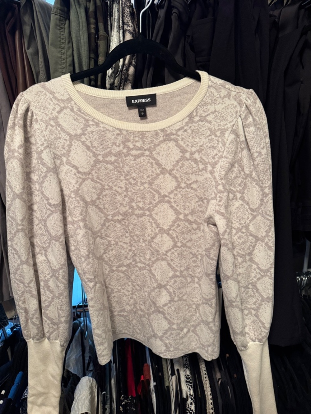 Express Cream and Light Gray Snake-Print Pullover